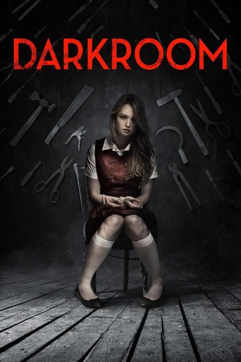 Plagát Darkroom