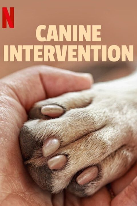 Plagát Canine Intervention