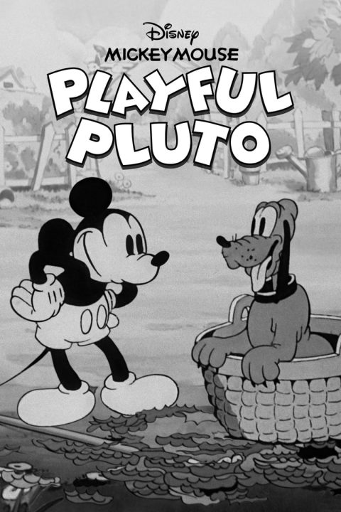 Plagát Playful Pluto