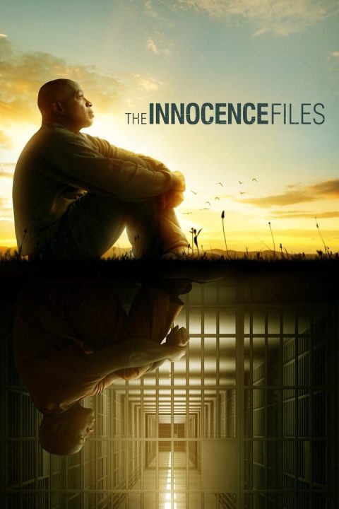 Plagát The Innocence Files