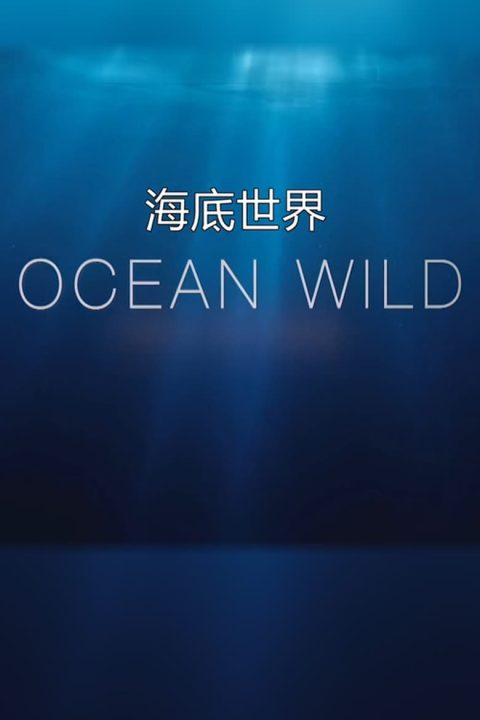 Plagát Ocean Wild