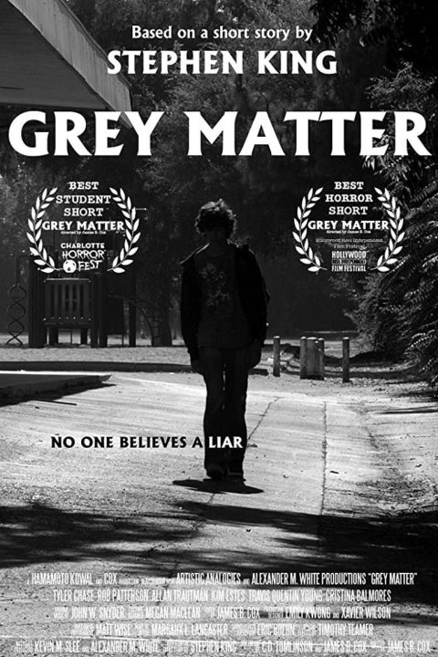 Plagát Grey Matter
